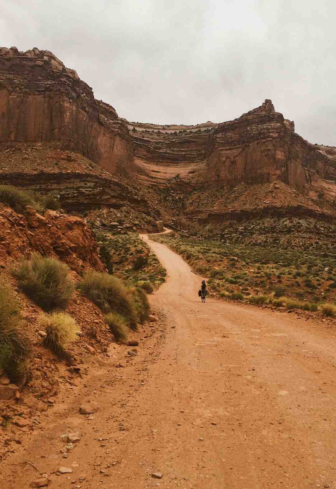 Are 11 Pro Max and 12 Pro Max same size?