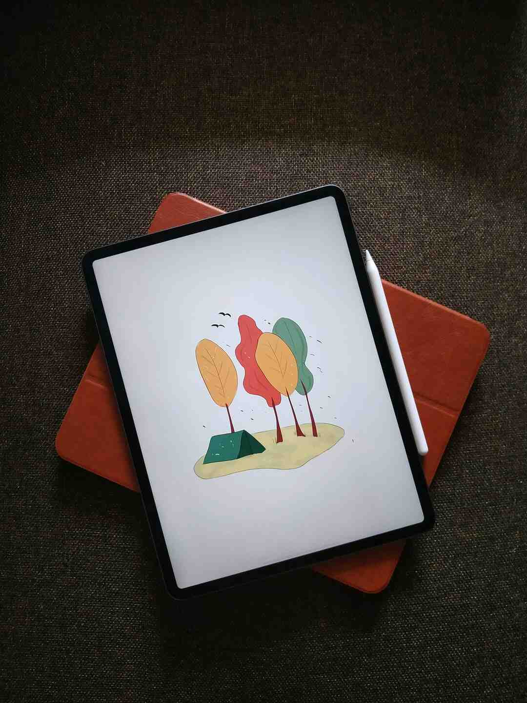 Quelle différence entre un iPad et un ordinateur ?