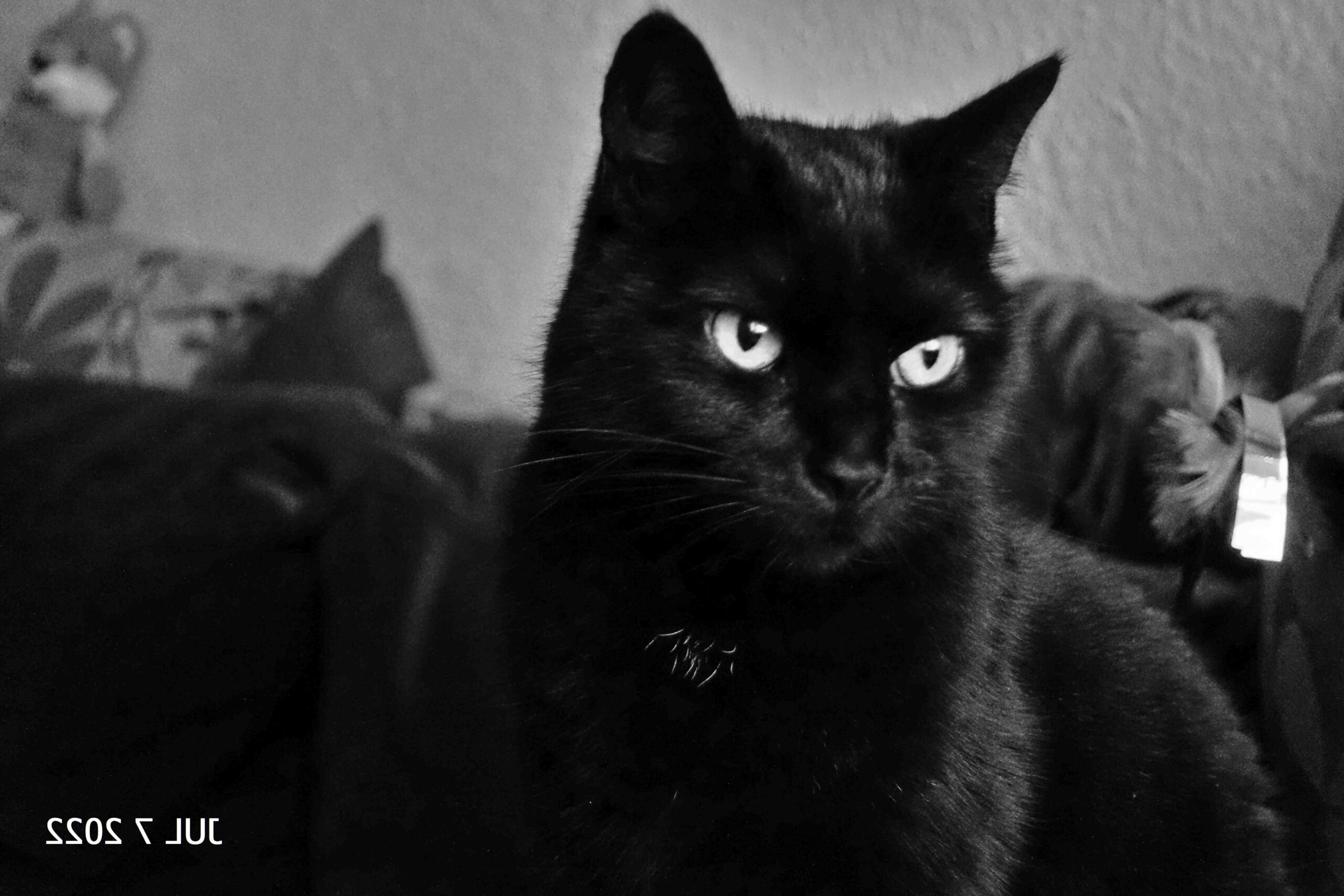 Quelle heure iOS 15 ?