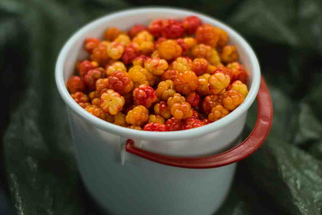 Comment arrêter un forfait avec engagement ?