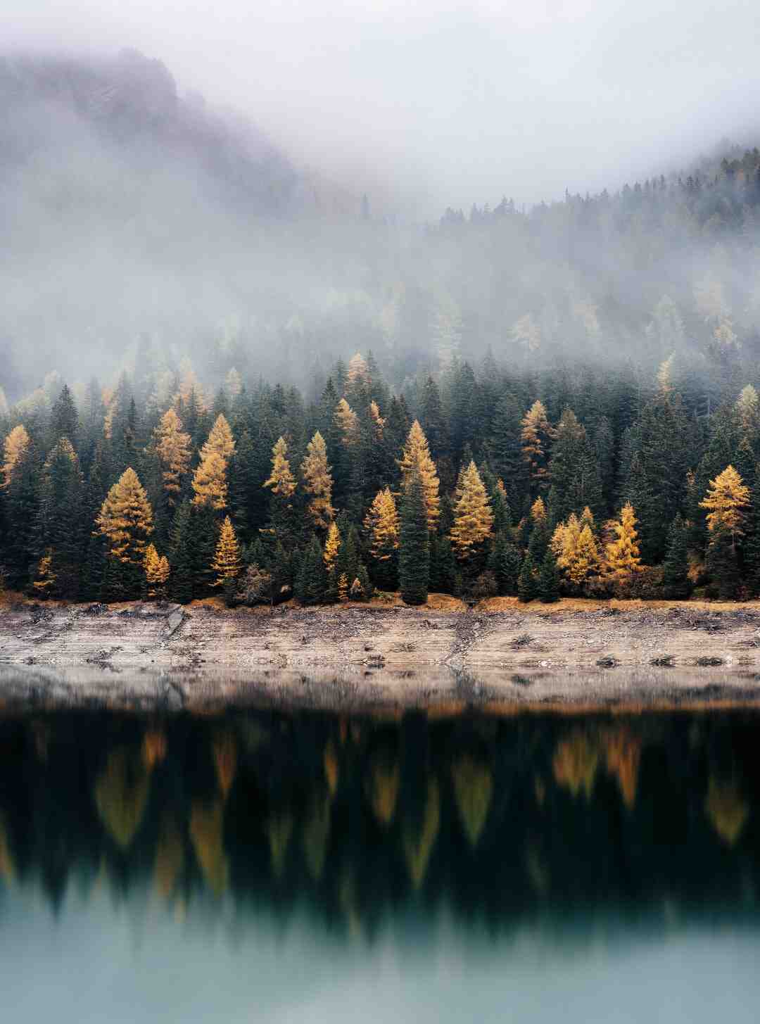 Comment avoir une meilleure qualité de photo ?