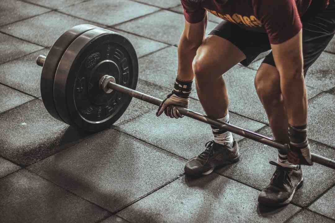 Comment fonctionne fitness ?