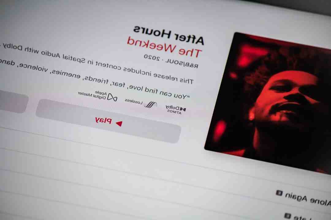 Comment voir son Top 10 artistes Spotify ?