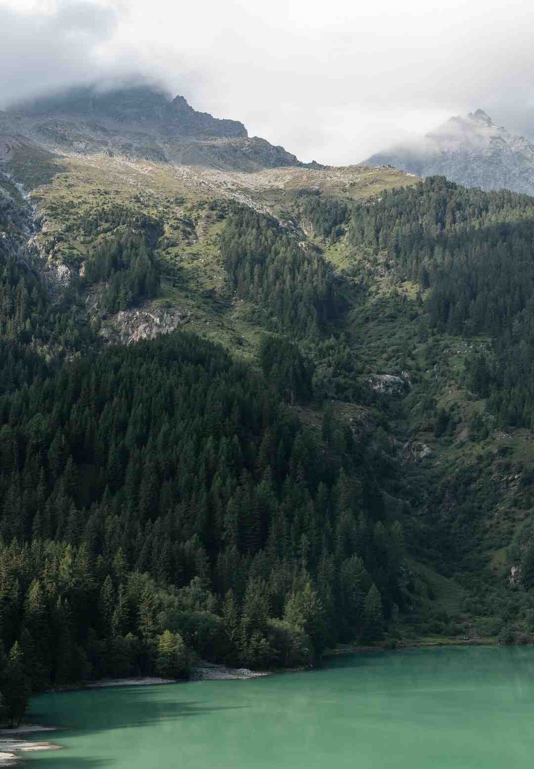 Pourquoi mon chargeur sans fil ne fonctionne pas ?