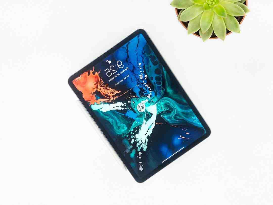 Quel est le prix de l'iPad Pro ?