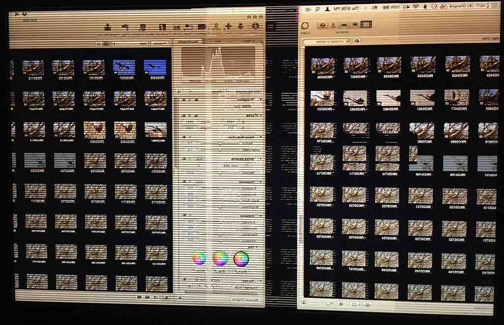Comment rallumer un iPhone qui bug ?