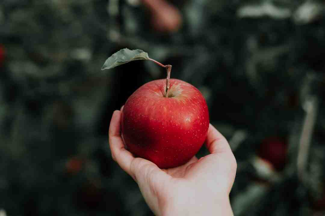 Est-ce que l'Apple TV fonctionne sans Wi-Fi ?